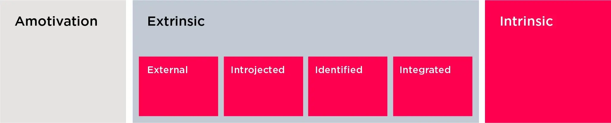Motivation continuum: amotivation, then extrinsic motivation (external, introjected, identified, integrated), then intrinsic.